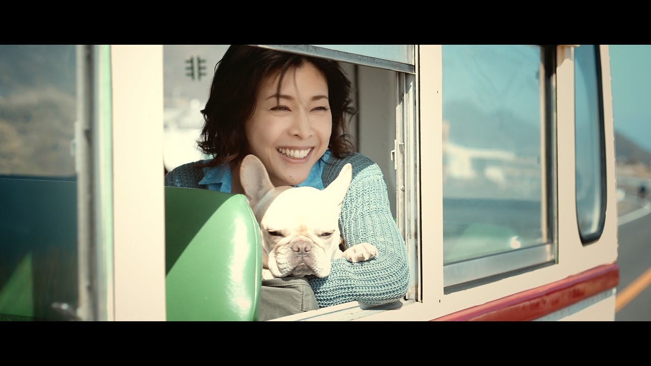 草なぎ剛の愛犬クルミちゃんがCMデビュー　竹内結子と共演で愛くるしい姿を披露