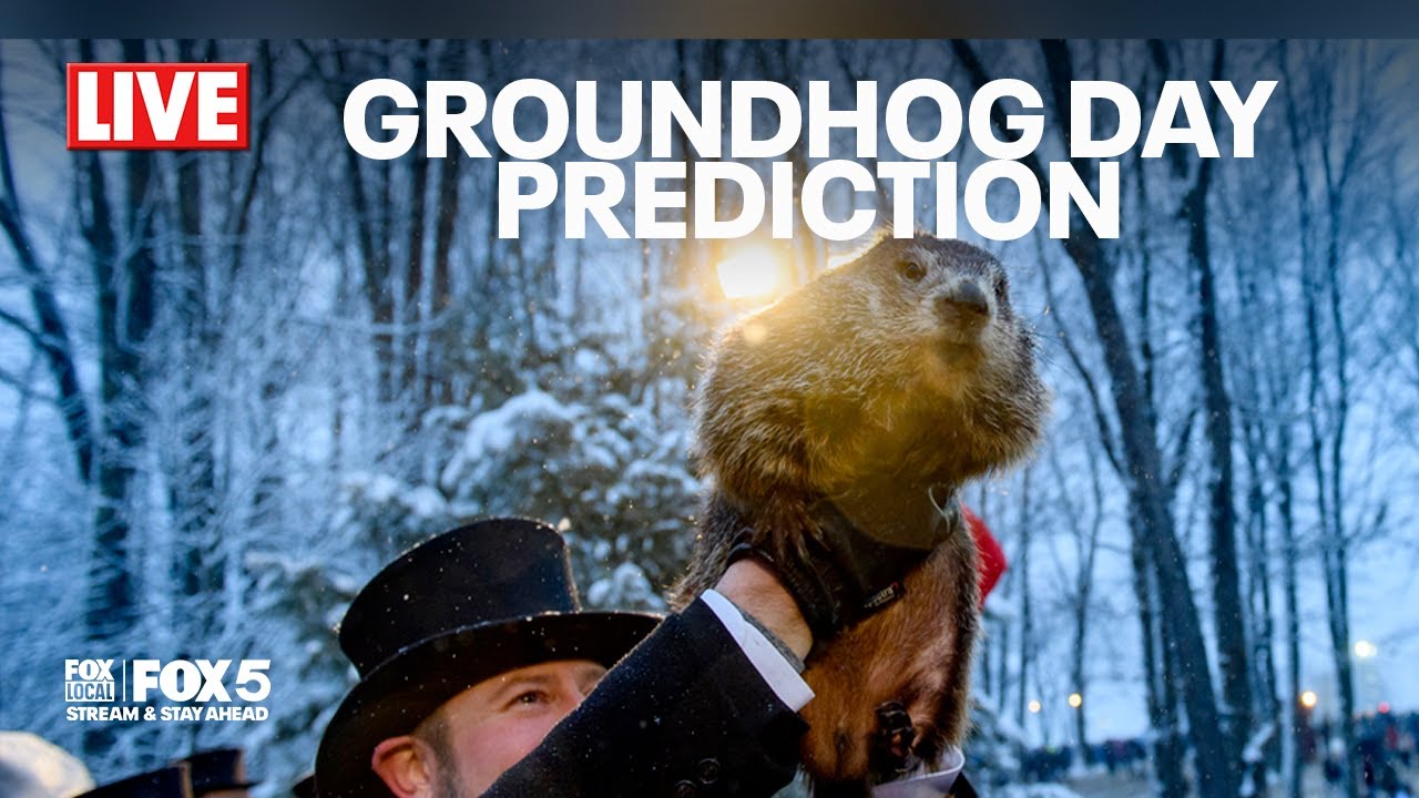 Groundhog Day: Punxsutawney Phil’s 2026 winter forecast prediction | FOX 5 DC