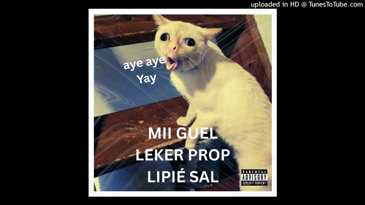 MII GUEL - LIPIE SAL LEKER PROP