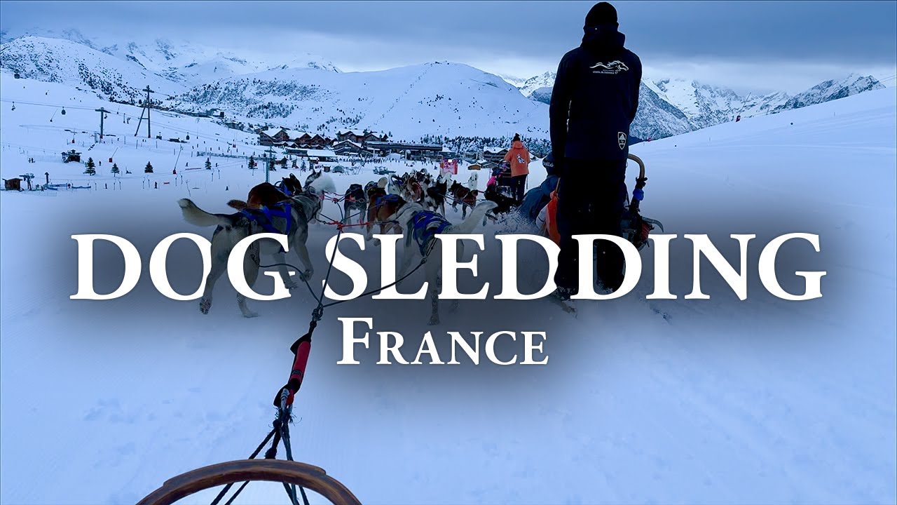 We Went Dog Sledding in the French Alps!