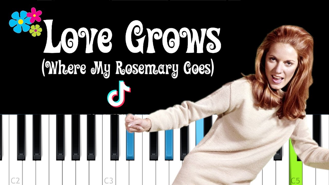 Edison Lighthouse - Love Grows (Where My Rosemary Goes) Tiktok song (Piano tutorial)