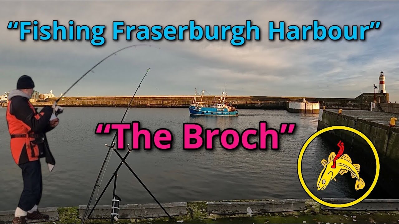 Fishing: Fraserburgh harbour: Broch: Aberdeenshire: FISHnTHINGS