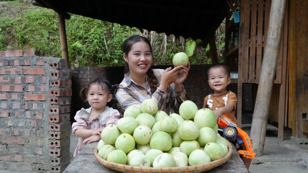 Harvesting giant melon garden to sell at the market - Cooking porridge for little daughter to eat