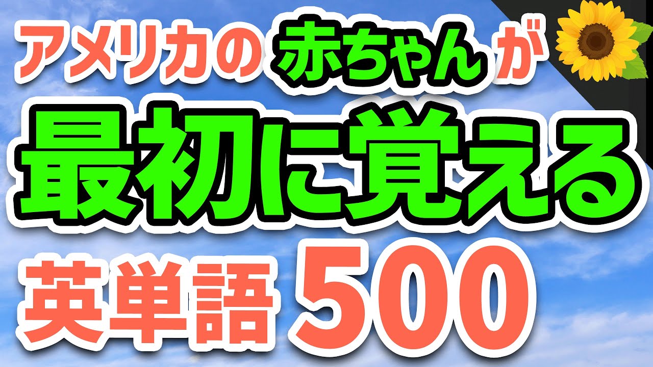 【聞いて覚える 】アメリカ人が最初に覚える英単語500  | 聞き流しのリスニング【よく使われる重要英単語】
