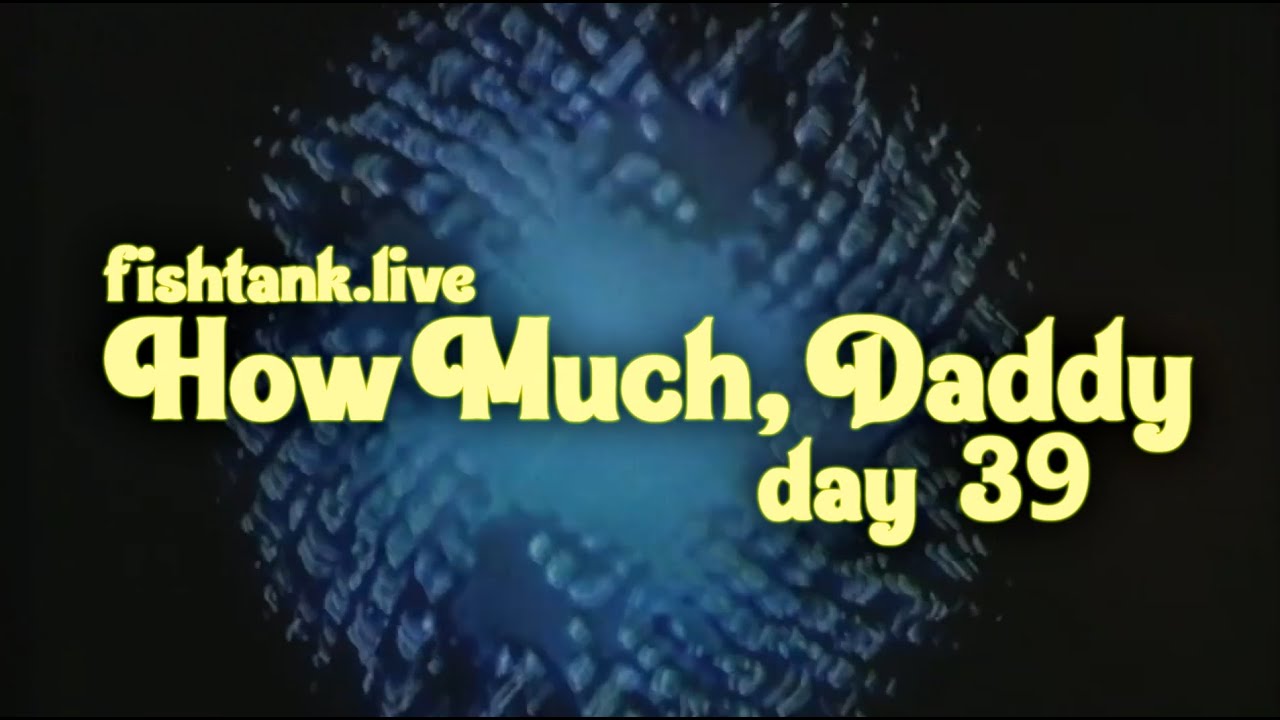 Fishtank Digest Season 2 Day 39: How Much, Daddy (Recap)
