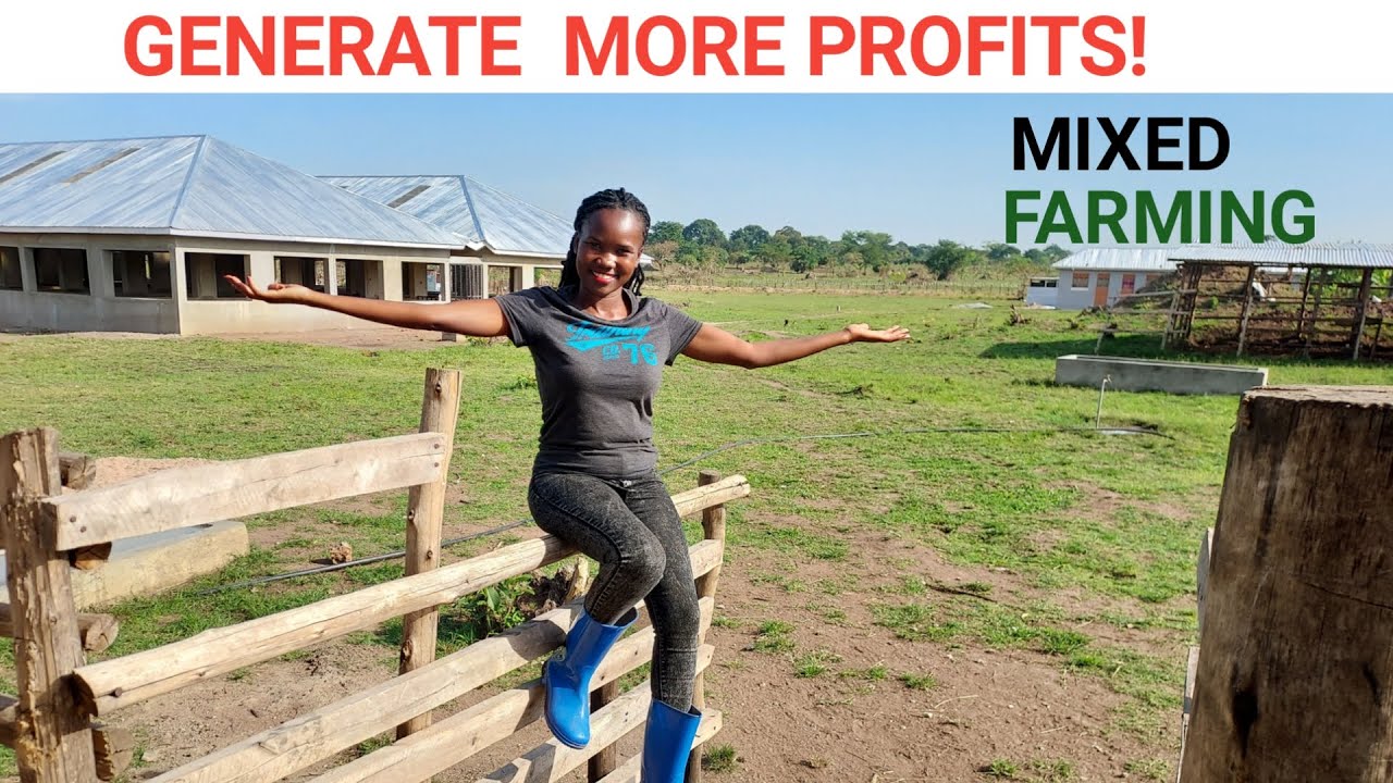How To Succeed In Mixed FARMING Business! | Mistakes To AVOID!