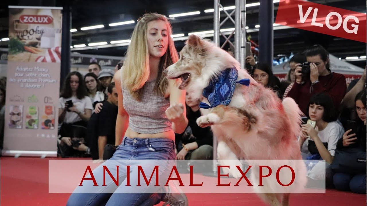 Ma journée à ANIMAL EXPO Paris 2019! (VLOG)
