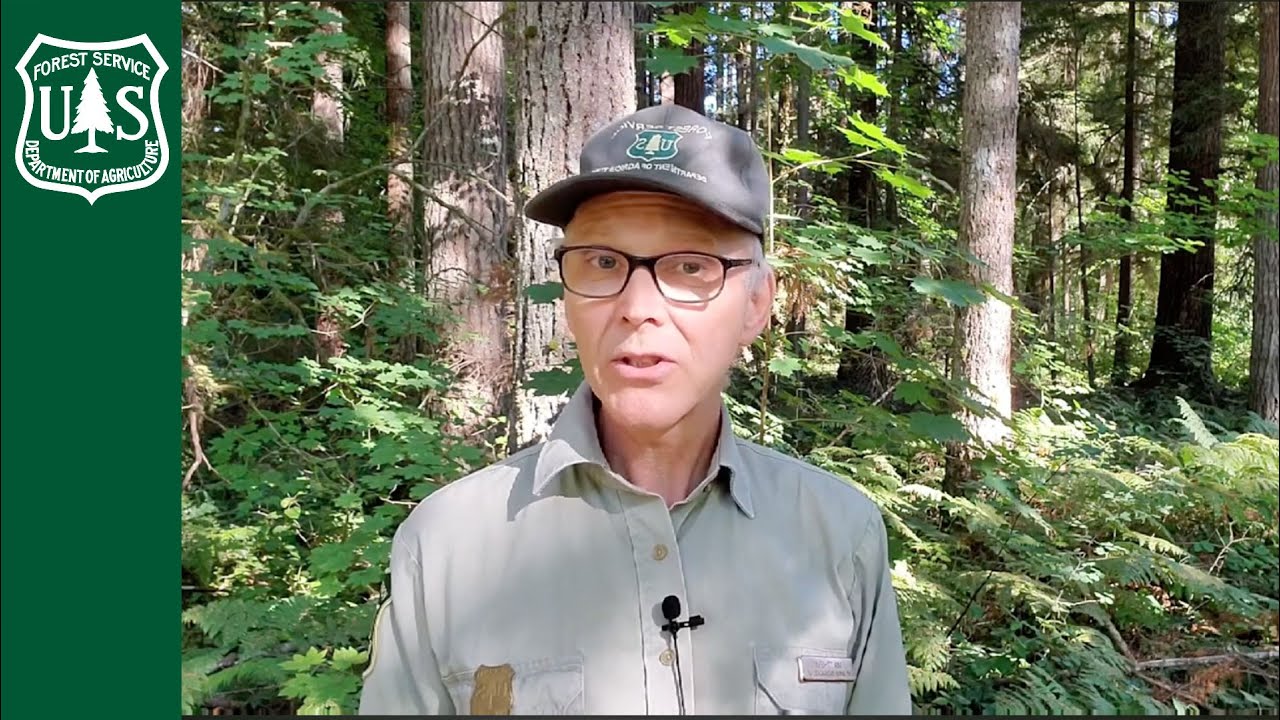 How to Have Fun Camping Without Campfires