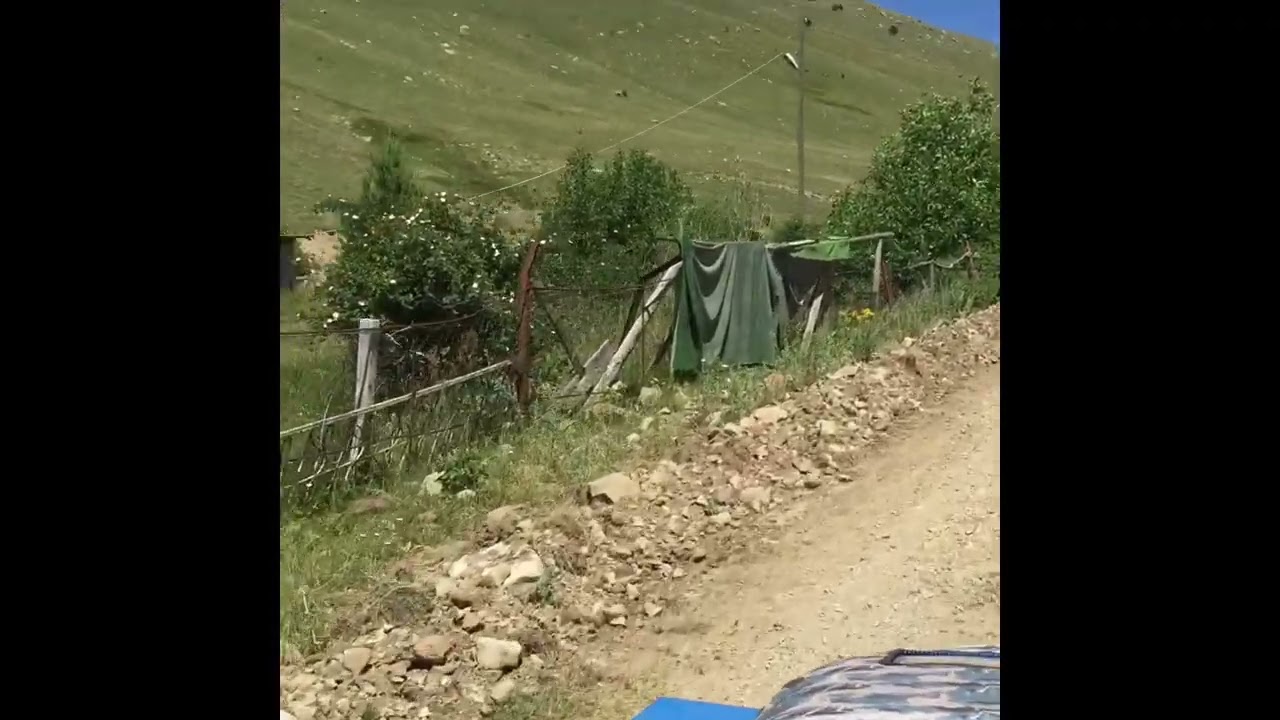 Alucra çakmanus Yeşilyurt köyü yaylası