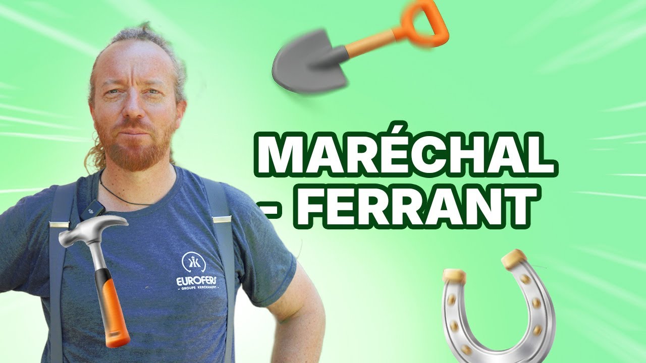 MARÉCHAL-FERRANT : un métier de passion au service des chevaux (salaire, missions, qualités)
