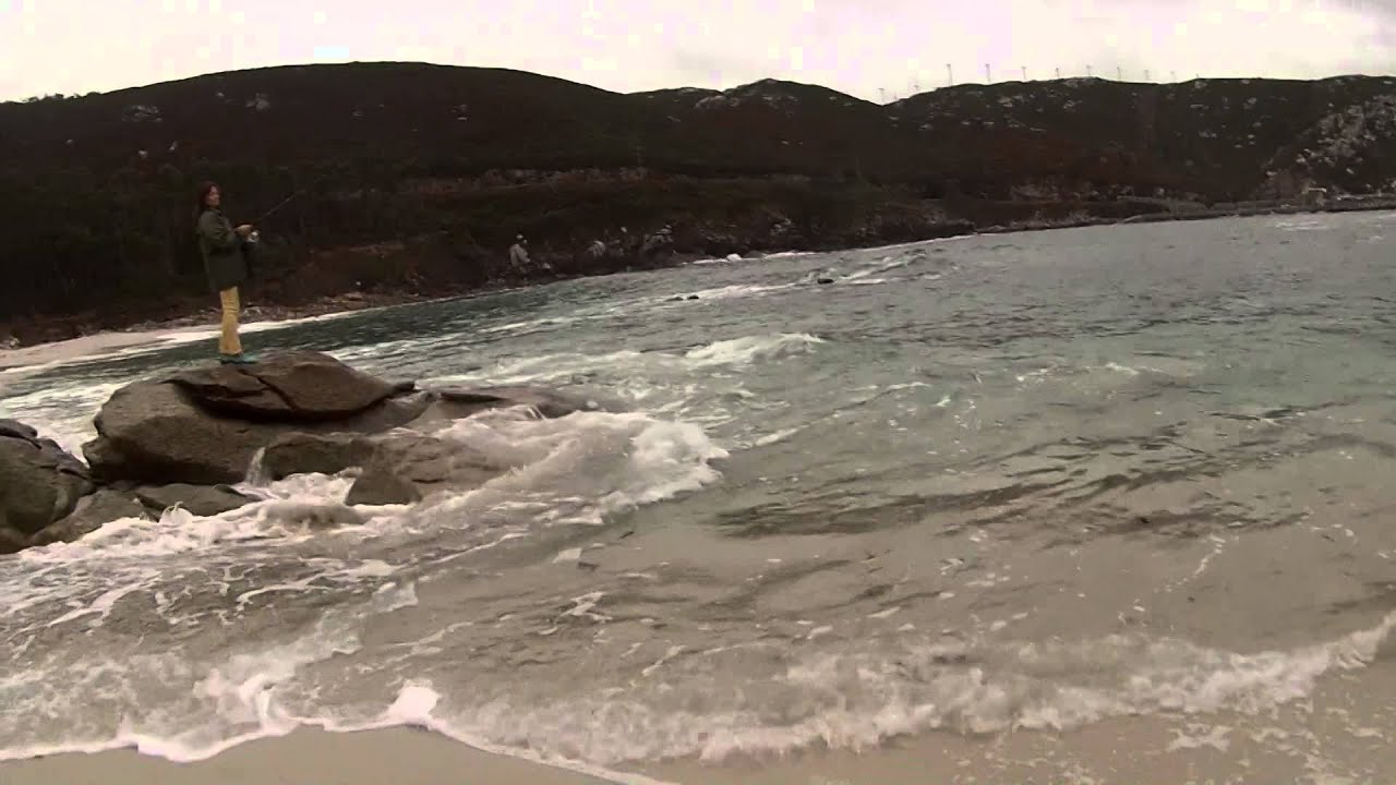 La pesca de la robaliza