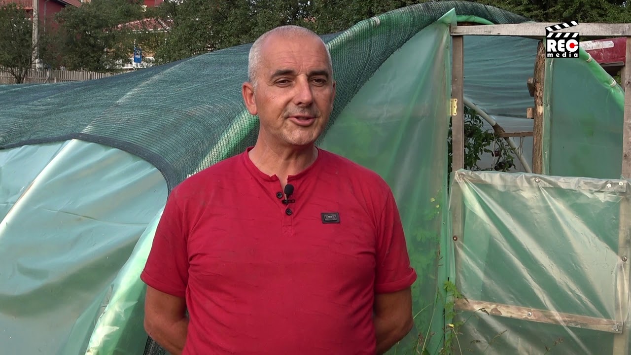 Bio bašta kao džungla