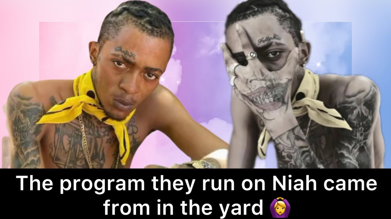 THE PROGRAM THEY RUN ON NIAH CAME FROM IN THE YARD 🙆‍♀️