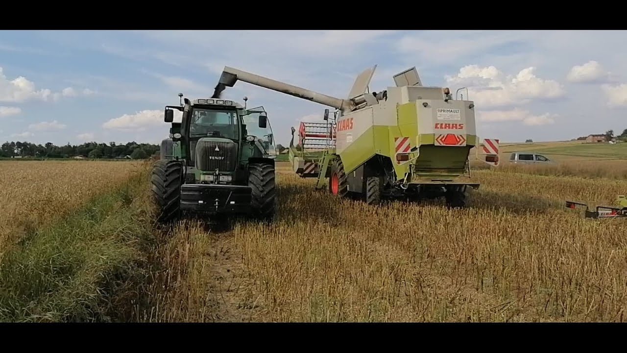 ŻNIWA RZEPAKU 2020 CLAAS LEXION 405