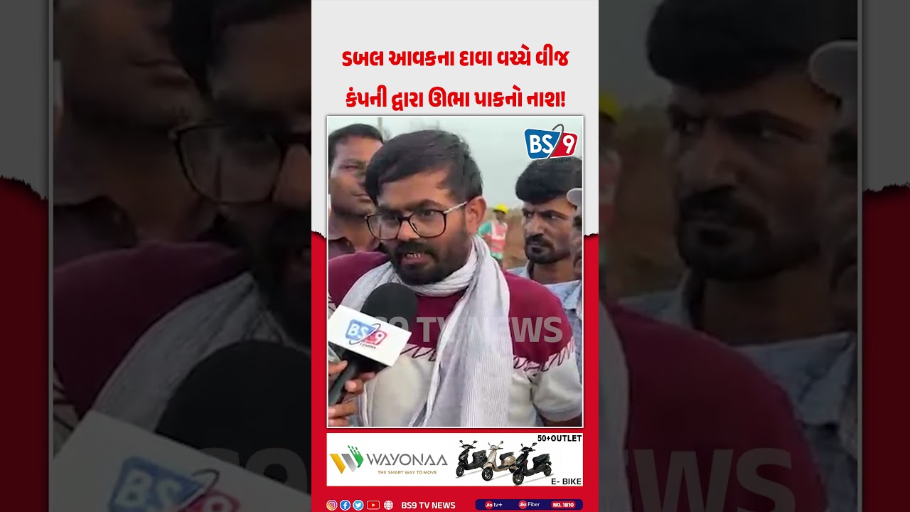 Farmers' outrage: Electricity company destroys crops amid claims of double income! | BS9 TV NEWS