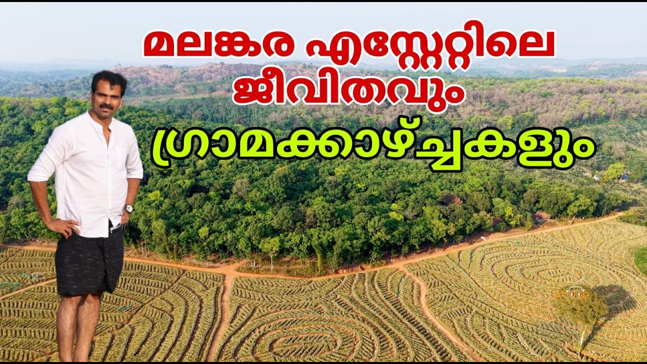 Exploring Malankara rubber plantation estate