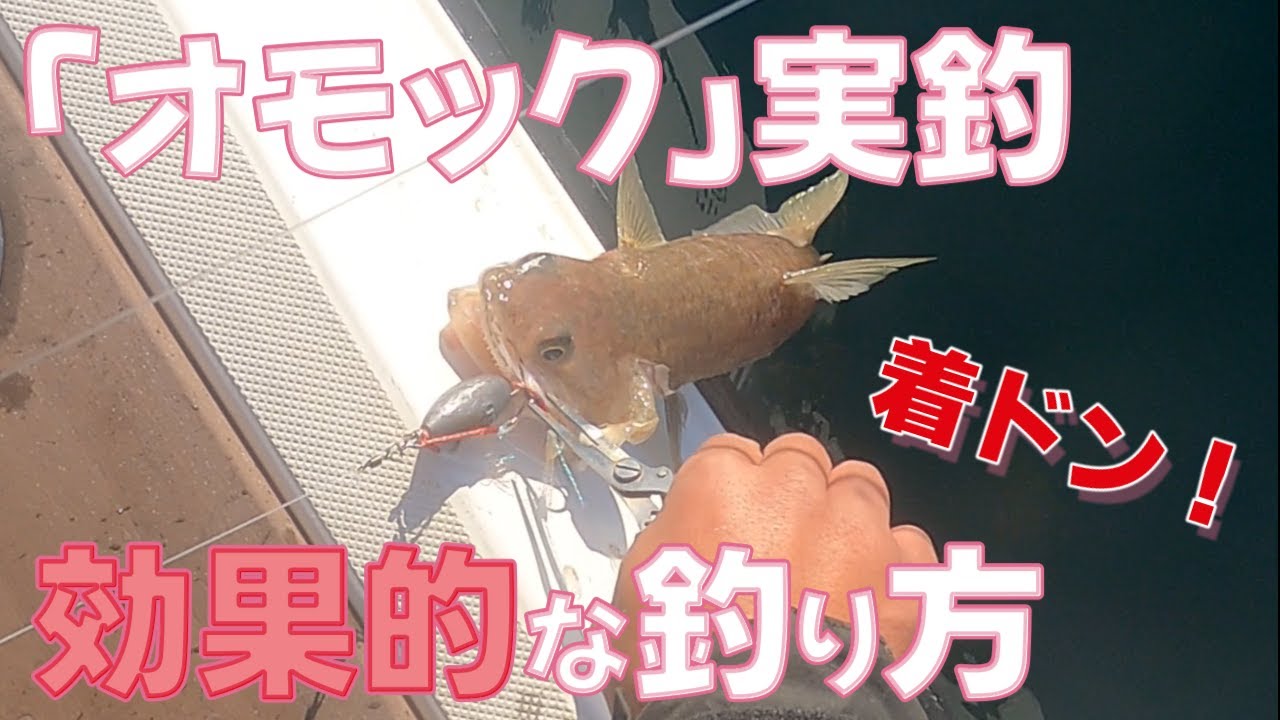 【オモック実釣】効果的な釣り方はコレだ！【富山湾氷見沖】