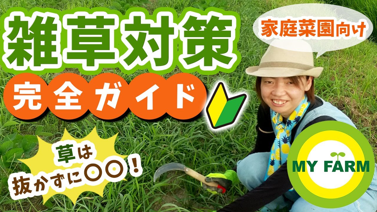 【雑草は抜かない！】家庭菜園での雑草対策のコツを基本から解説します│かっちゃんの有機栽培ｺｰｻﾞ