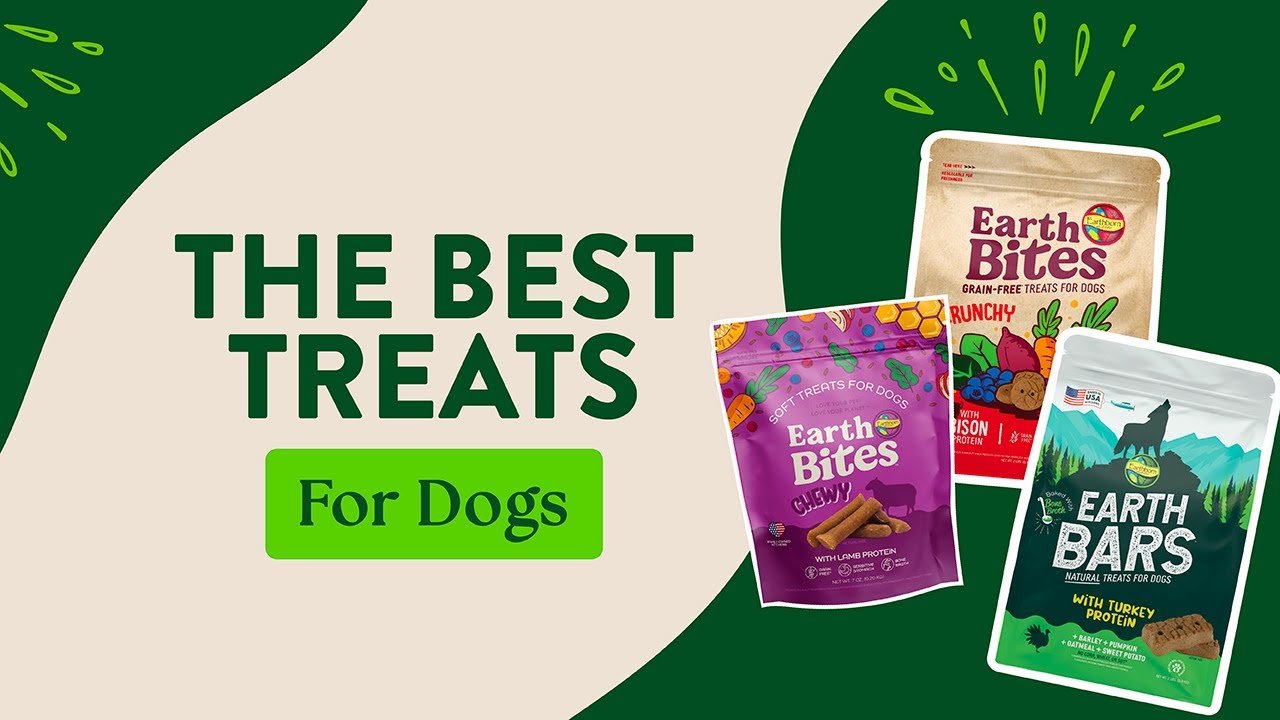 Earthborn Holistic Dog Treats