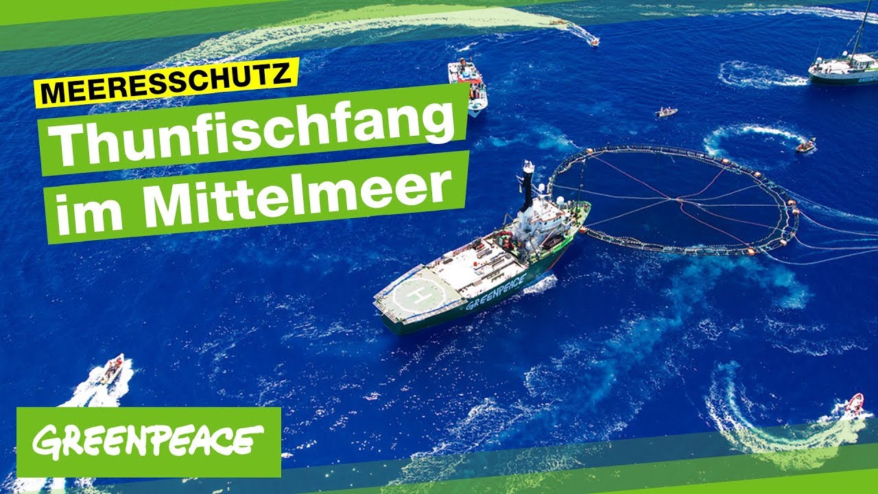Thunfischfarmen im Mittelmeer