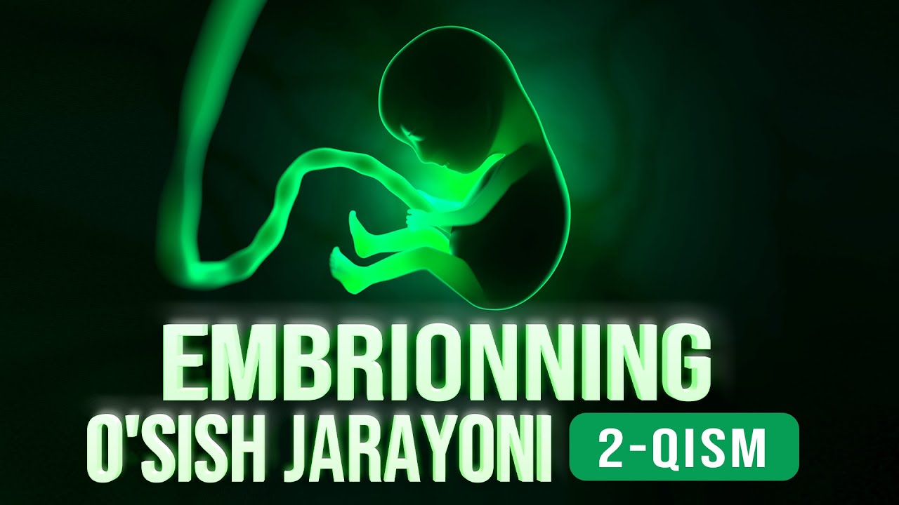 Embrionning o‘sish jarayoni 2-qism | Allohning mo'jizalari 17-son
