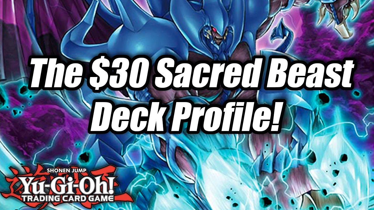 Yu-Gi-Oh! The $30 Budget Sacred Beast Deck Profile!