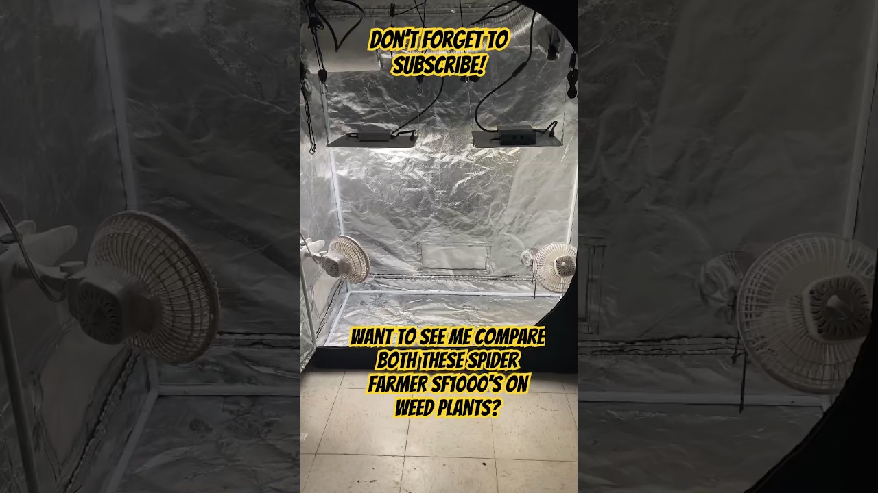 New Spider Farmer SF1000 EVO VS Old SF1000! Which One Will Grow Better Plants #shorts #spiderfarmer