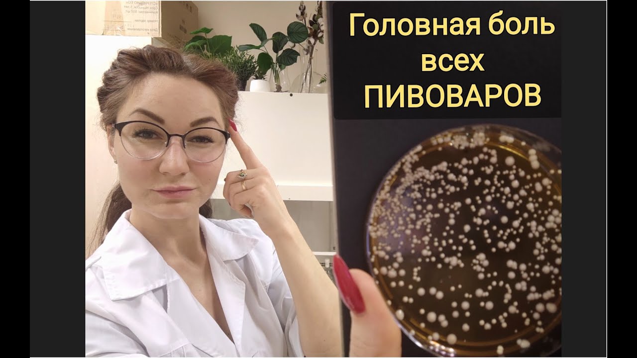 Пивные дрожжи. Почему дрожжи не работают. Почему пиво не получается.