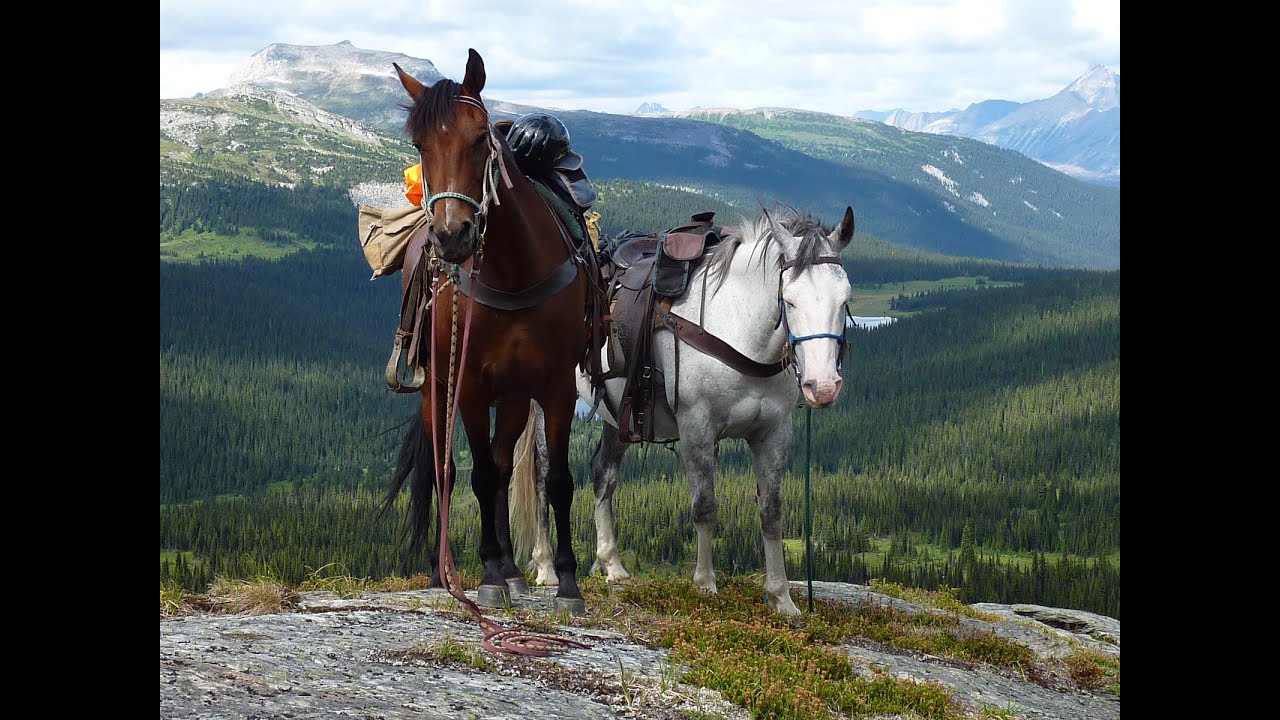 Discover Valemount - Episode 4: Mountain Riding