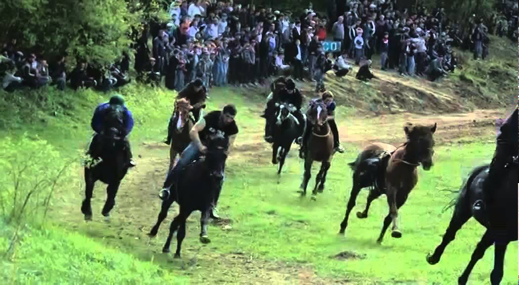 ЧЕЧНЯ .Ножай-юртовский район .Скачки