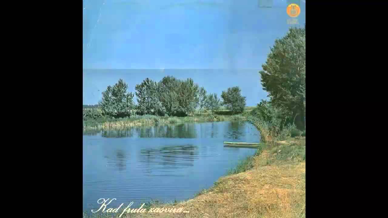 Dimitrije Obradovic - Kolo u sest koraka - (Audio 1975) HD