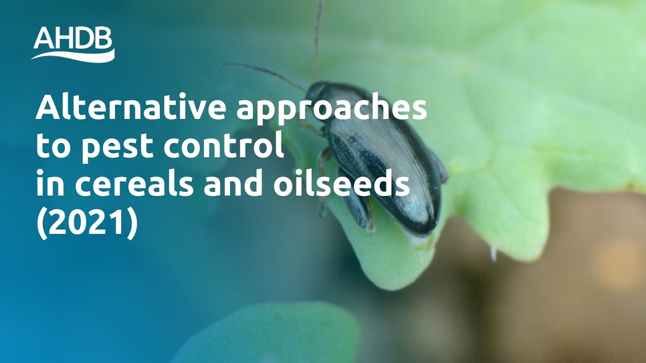 Alternative approaches to pest control &ndash; Agronomists&rsquo; Conference 2021