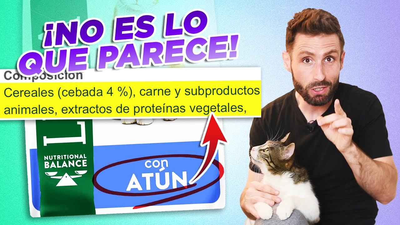 NO COMETAS ESTOS ERRORES a la hora de ELEGIR EL ALIMENTO SECO DE TU GATO 😼🍲 | ¡Que no te confundan!