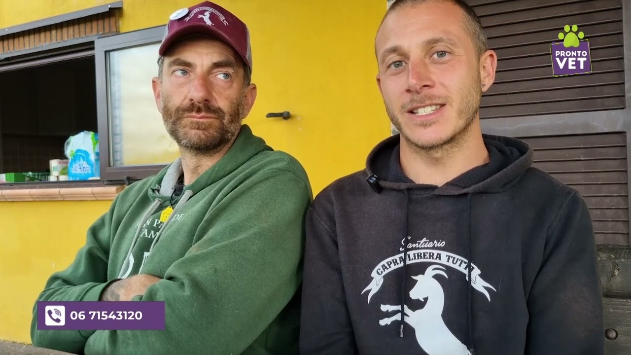 Pronto Vet - I colori del Santuario Capra Libera Tutti