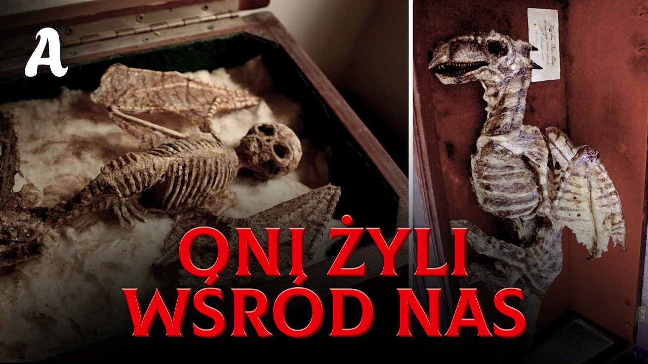 Kolekcja Merrylin: Stwory Odrzucone Przez Oficjalną Historię