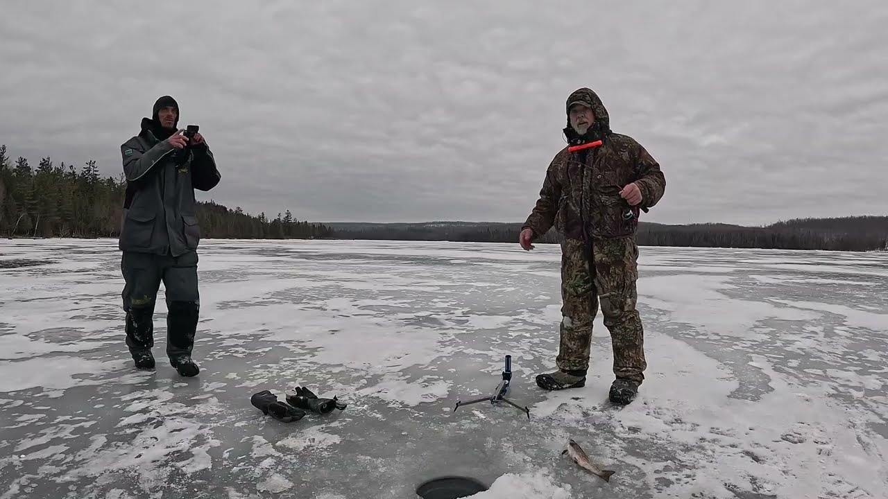 MICHIGAN Ice Fishing Trout  #catchandrelease #michiganfishing  #trout-fishing #winter