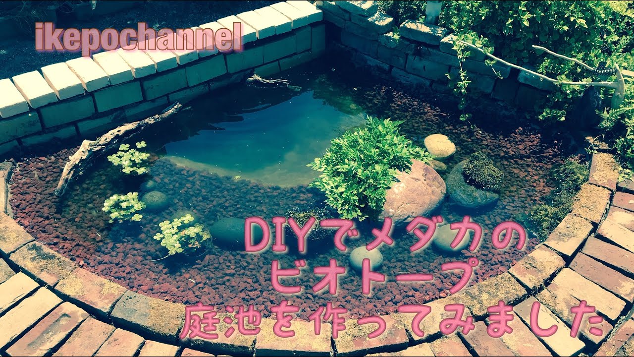DIYでメダカのビオトープ、庭池を作ってみました  I tried to make a biotope garden pond for medaka with DIY