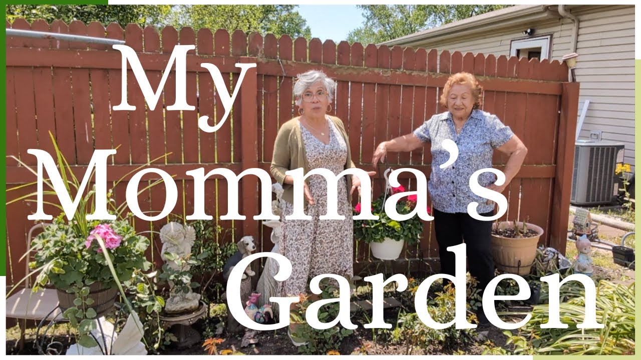 My Momma's Garden