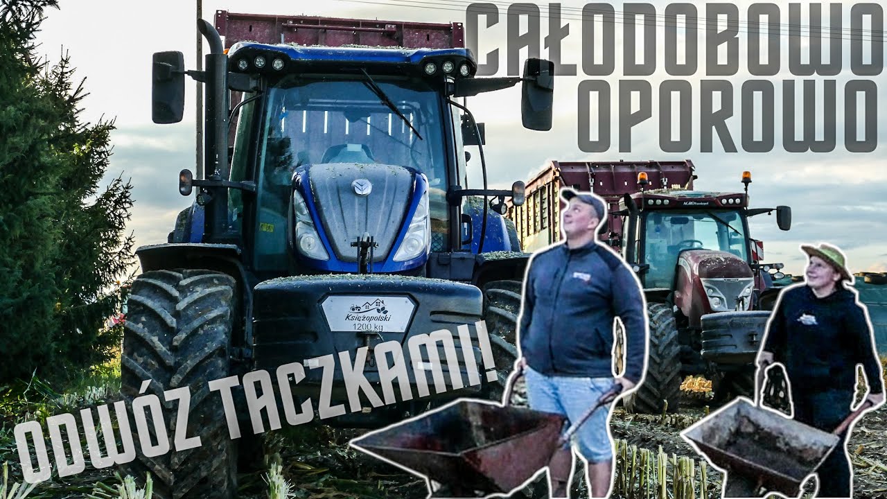 ROZRZUTNIK NA BOKU, PEDROS W SZOKU! 🔥 ODWÓZ TACZKAMI! ★ KISZONKA Z QQ - GR SOSZYŃSKI ★ ZIOMAKI 2022