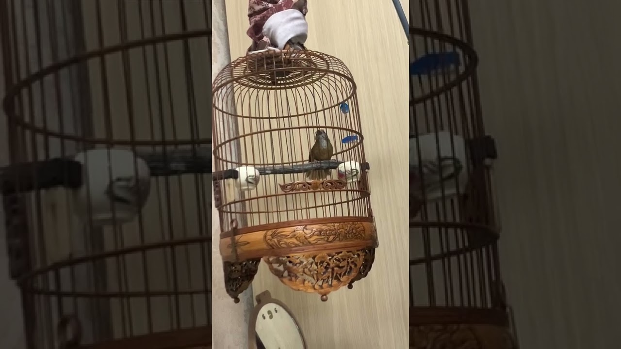 Một chiếc clip mang tính chất lôi kéo đồng nghiện 🤣🤣🤣