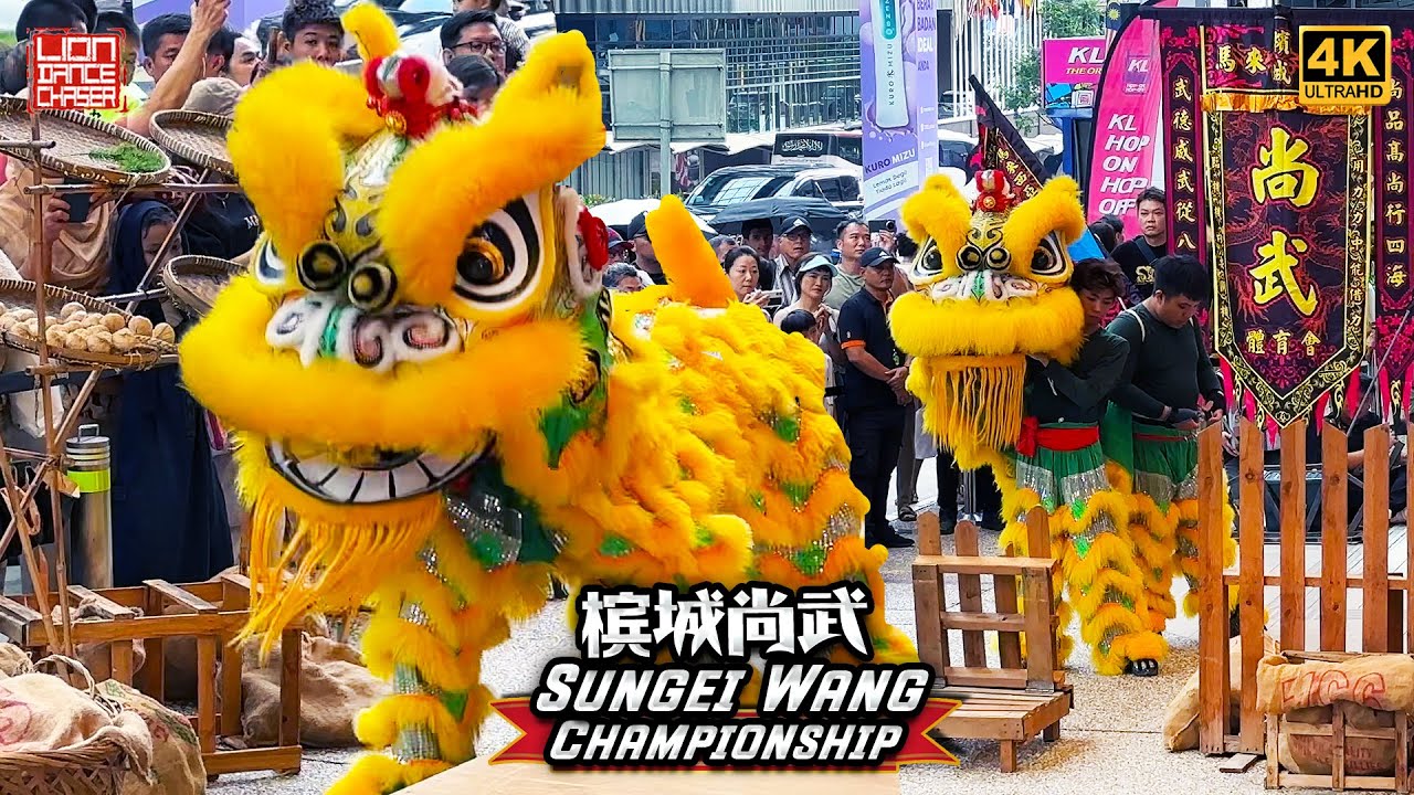 Penang Shang Wu 槟城尚武 - 3rd Sungei Wang Plaza Lion Dance Competition 第三届金河广场全国传统舞狮比赛