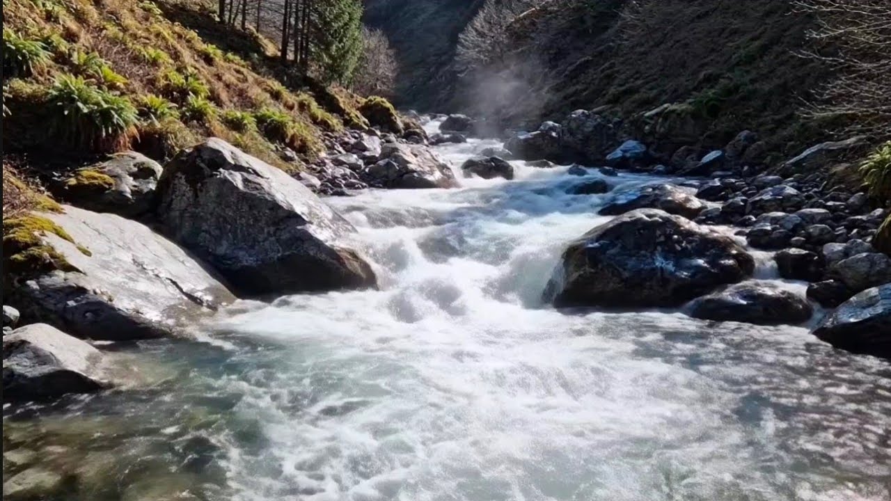 Calm Nature River Sounds | Gentle Flowing Water Ambience for Deep Focus & Relaxation