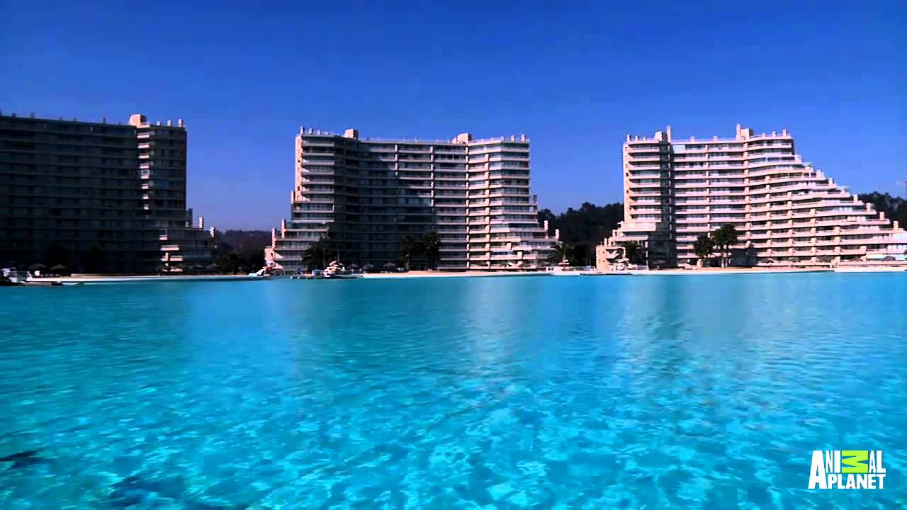 The Biggest Pool on Earth | The Pool Master