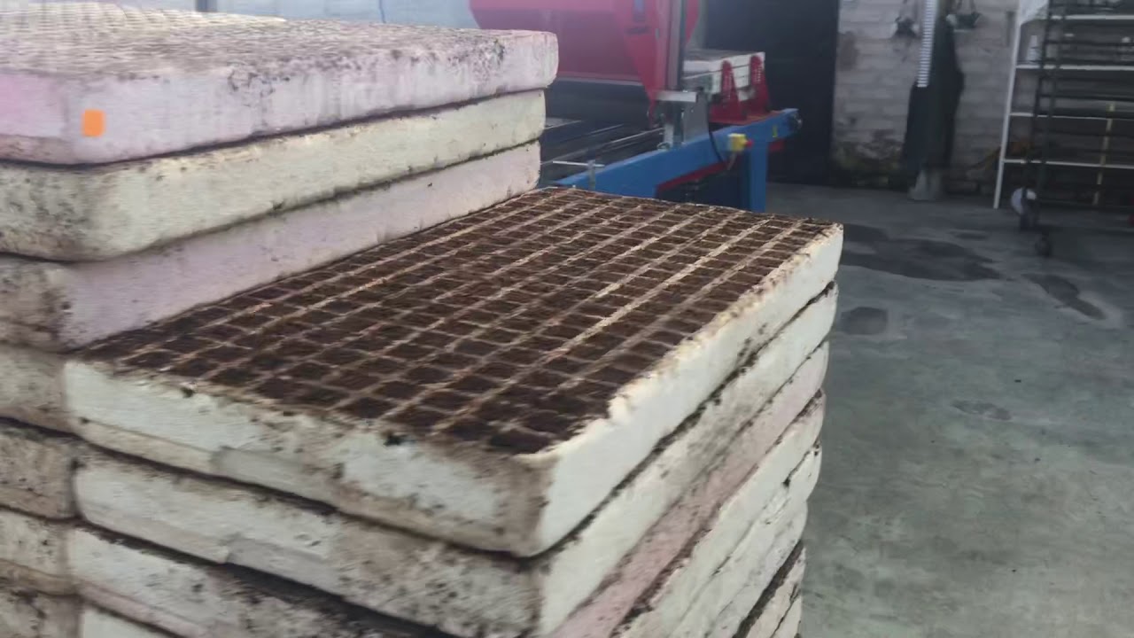 Siembra de semilleros en Bandejas Sembradora automática Italiana Urbinati Riobamba ecuador Pilonera