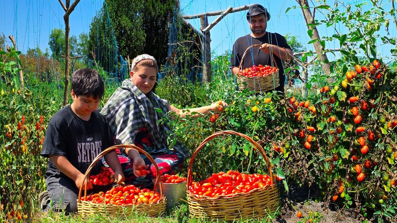 Simple Village Cooking – Rural Life in Azerbaijan