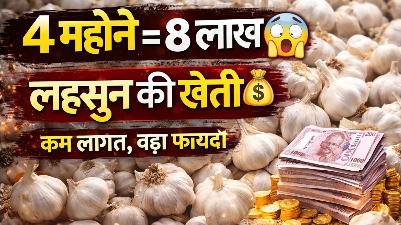 ⁨@MrMehtaJi-j6q⁩🛑 #live #quiz #foryou #gk #viralvideo #shortslivefeed #shortsfeed #bhakti #gamer