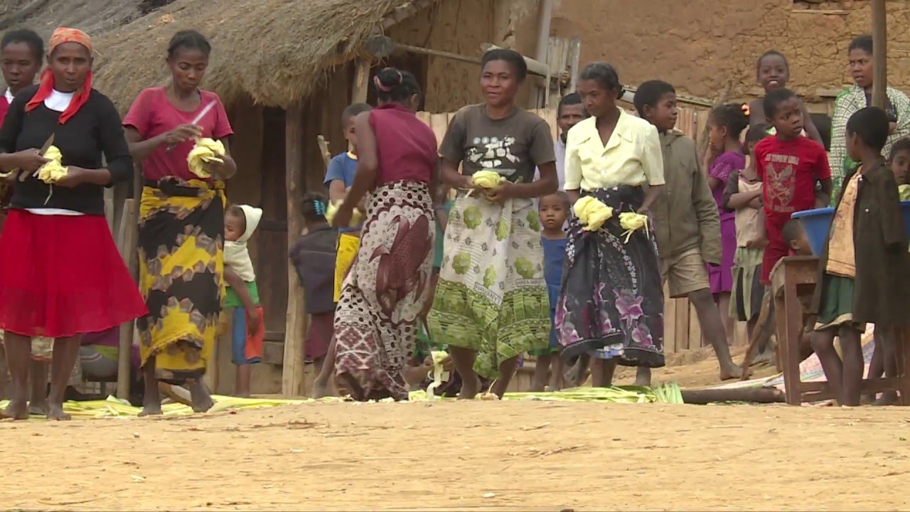 Sustainably sourced raffia: community-based conservation in Madagascar