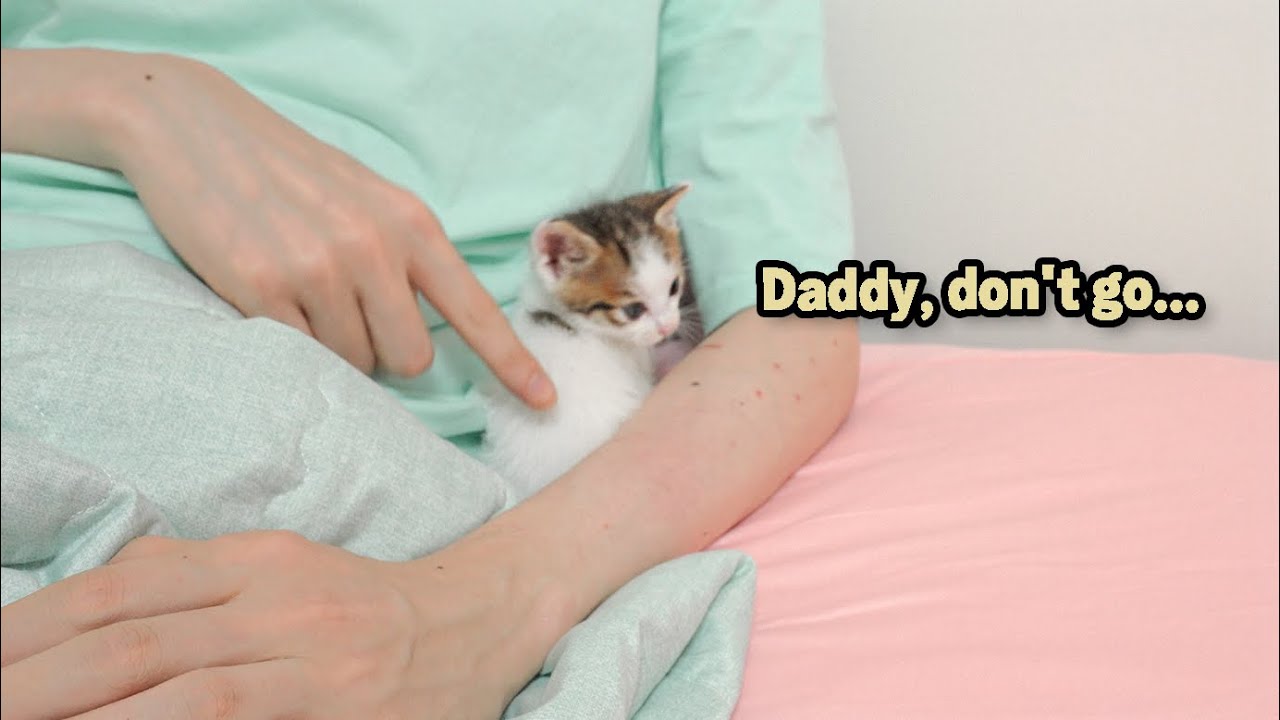 This Tiny Kitten Wants Me To Protect Her From the Monster!