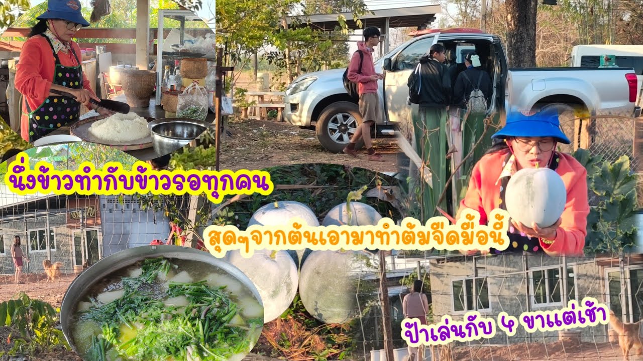 เก็บจากต้น นึ่งข้าวร้อนติดฝักแกงจืดหม้อยักษ์ ป้าแต๋นเล่นกับน้องๆ เด็กๆไปโรงเรียน