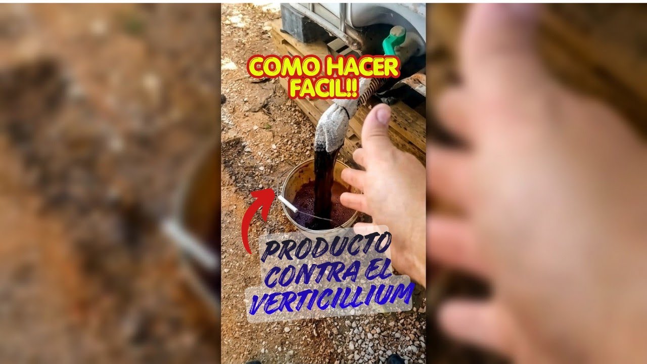 Remedio contra verticillium y phytophthora